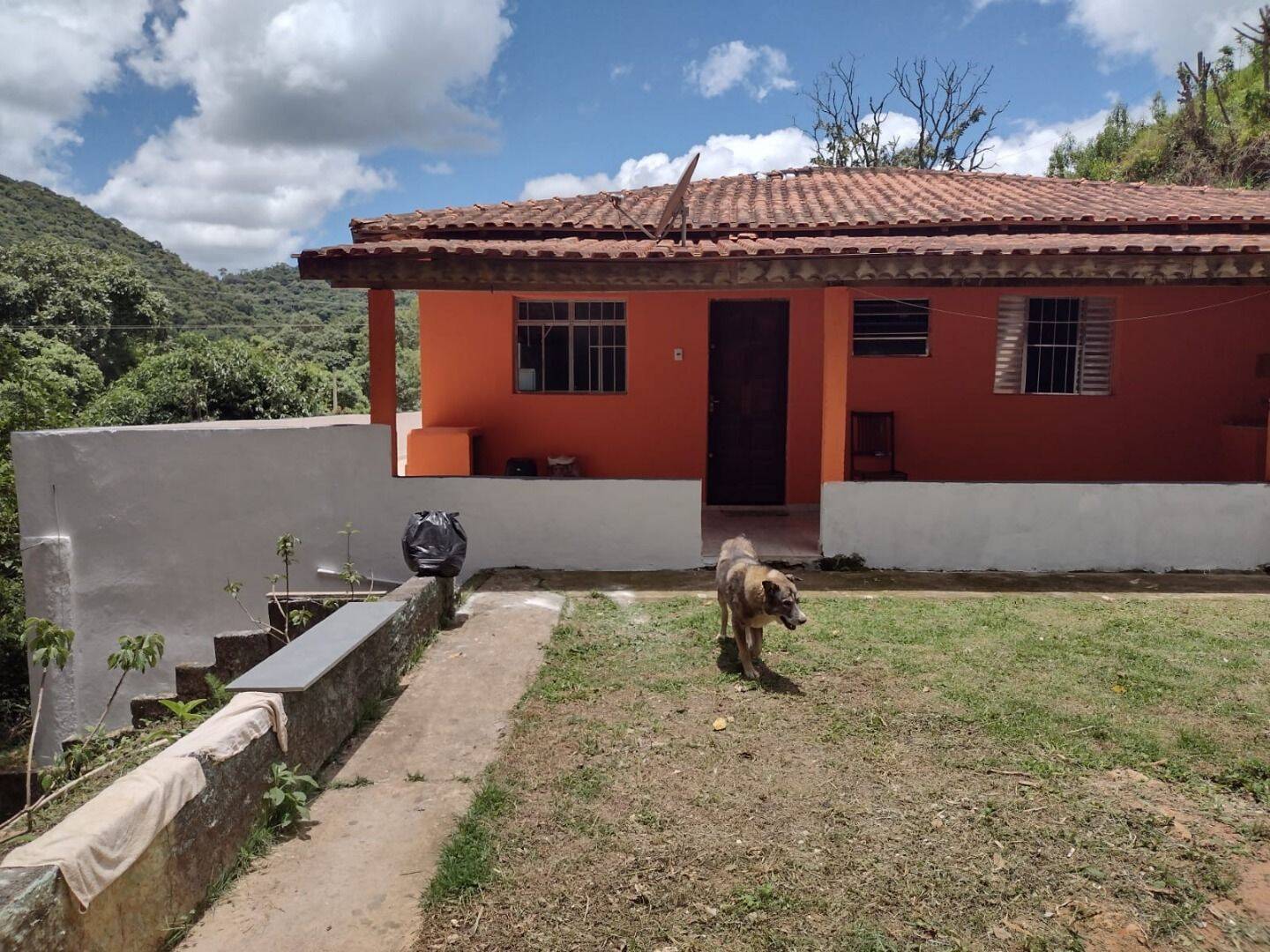 Chácara, 3 quartos, 3 hectares - Foto 14