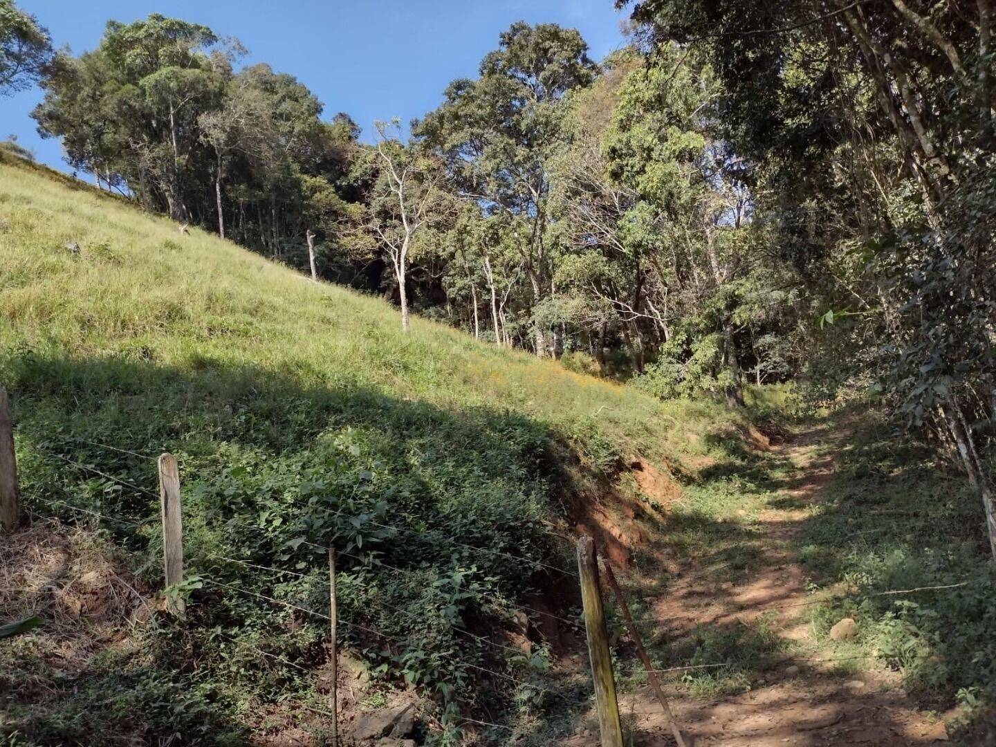 Chácara, 3 quartos, 3 hectares - Foto 18