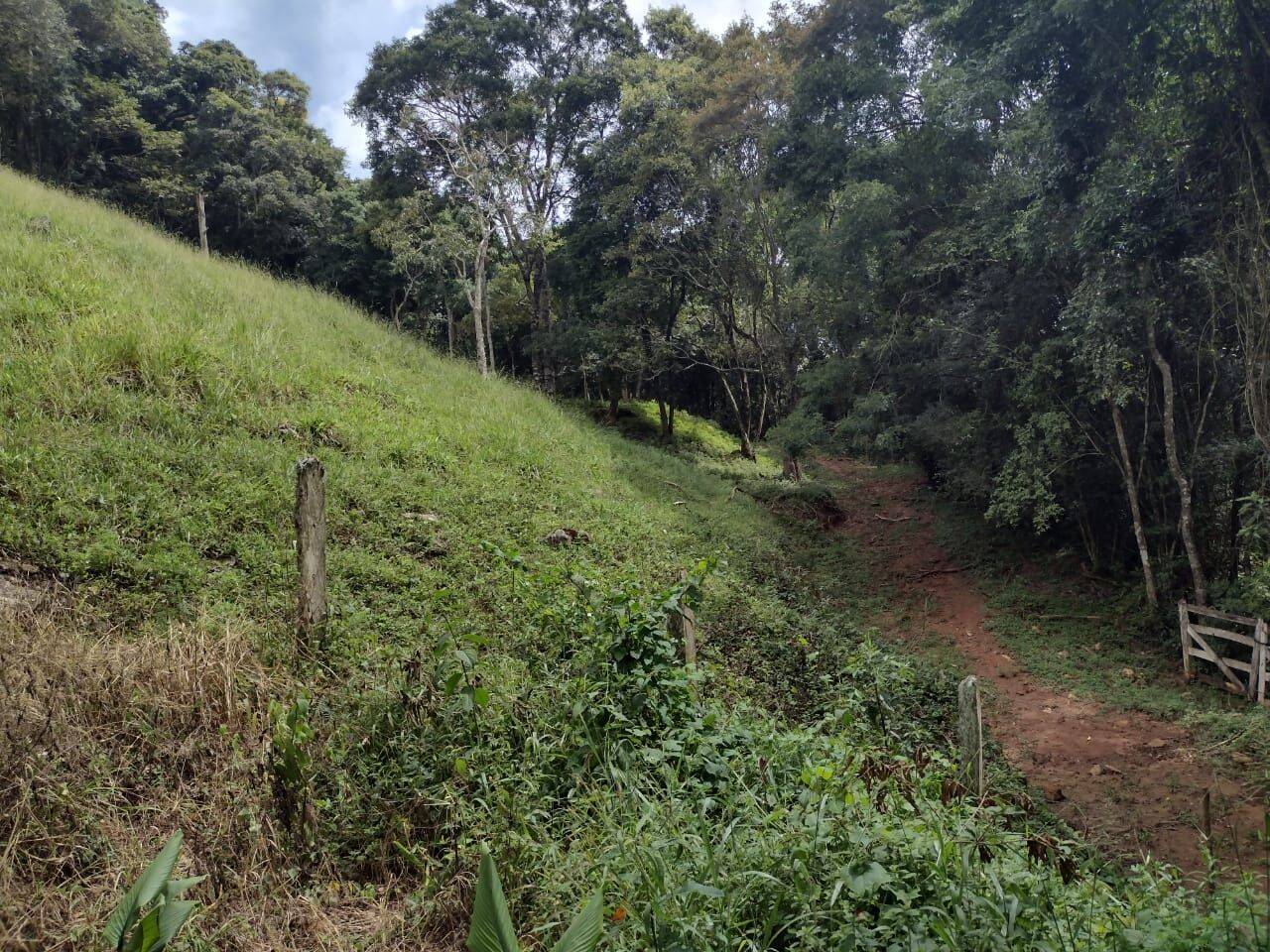 Chácara, 3 quartos, 3 hectares - Foto 26