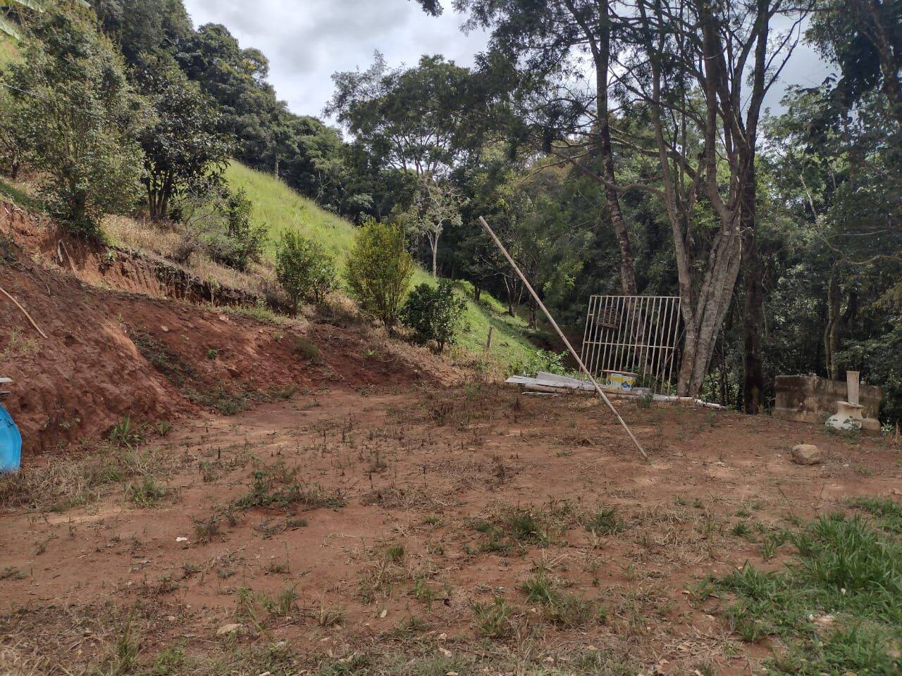 Chácara, 3 quartos, 3 hectares - Foto 28