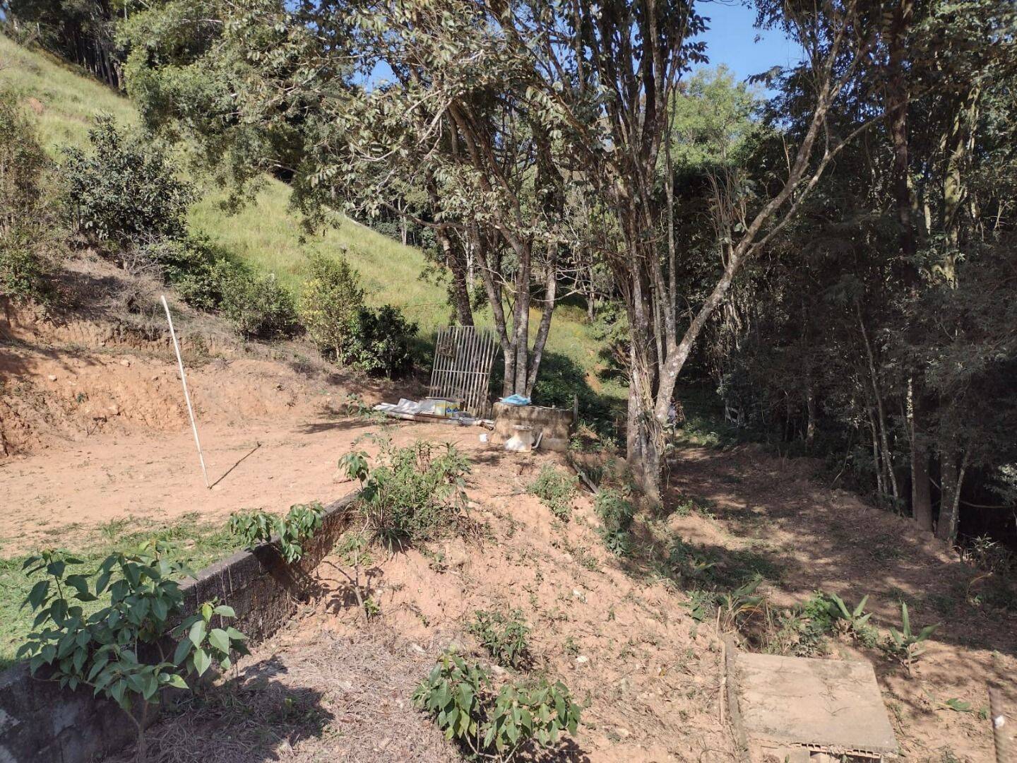 Chácara, 3 quartos, 3 hectares - Foto 29