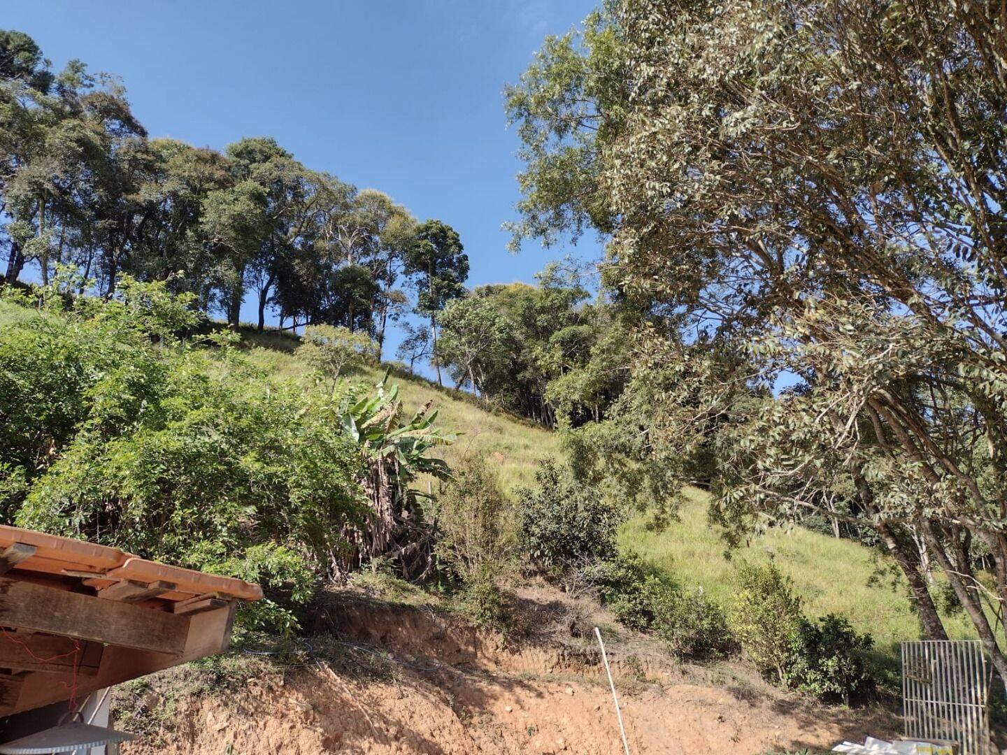 Chácara, 3 quartos, 3 hectares - Foto 30