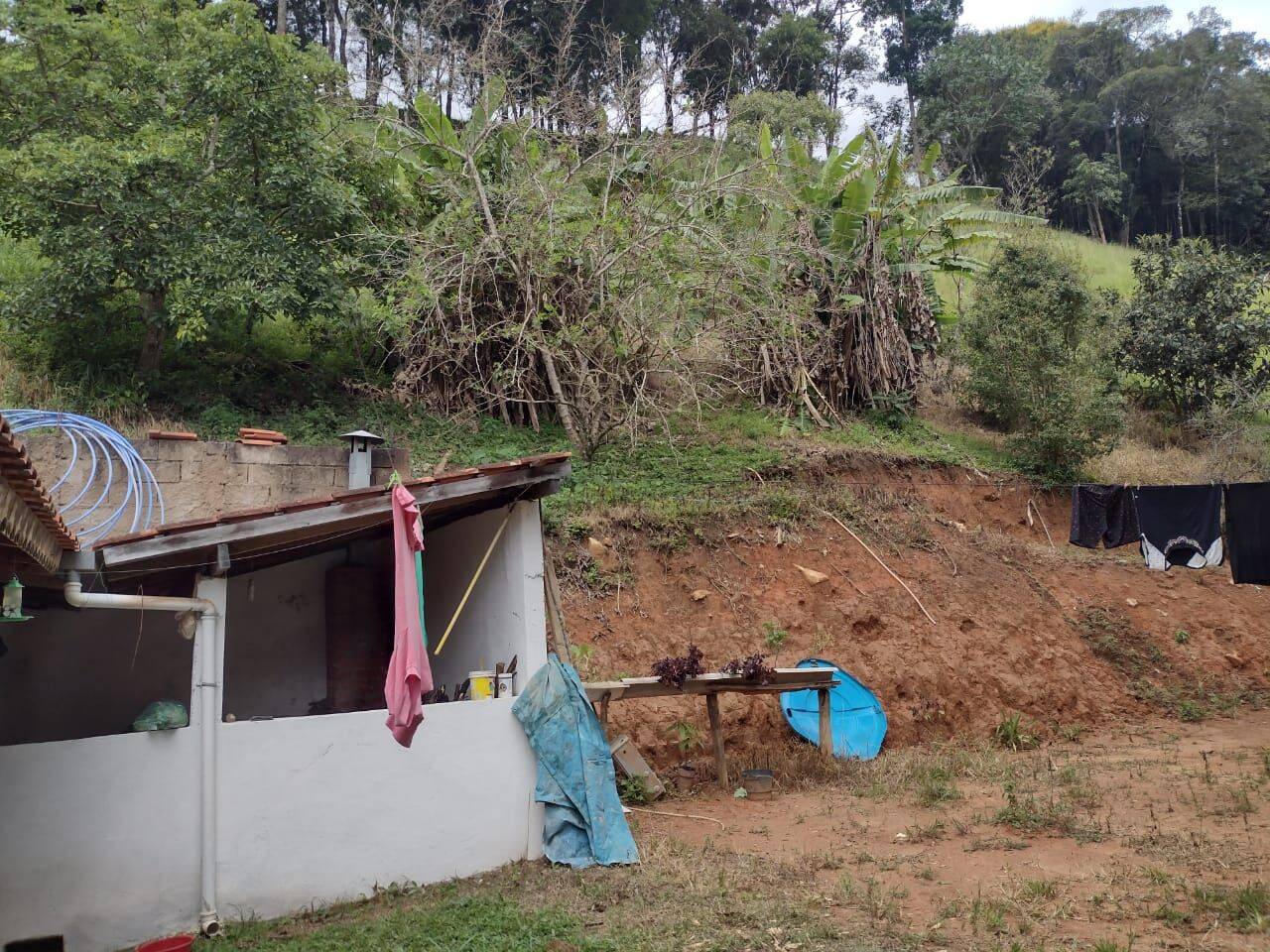 Chácara, 3 quartos, 3 hectares - Foto 31