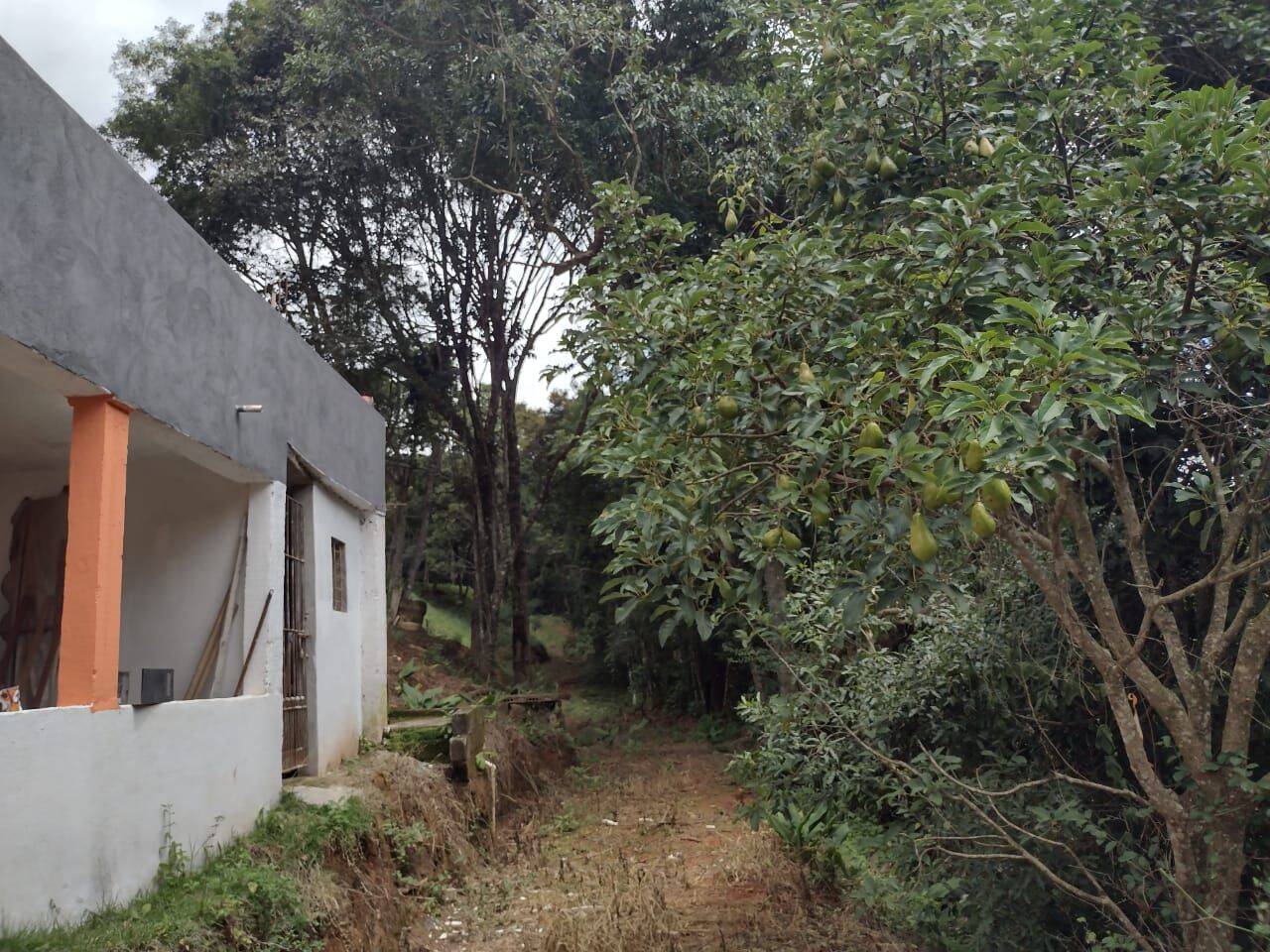 Chácara, 3 quartos, 3 hectares - Foto 43