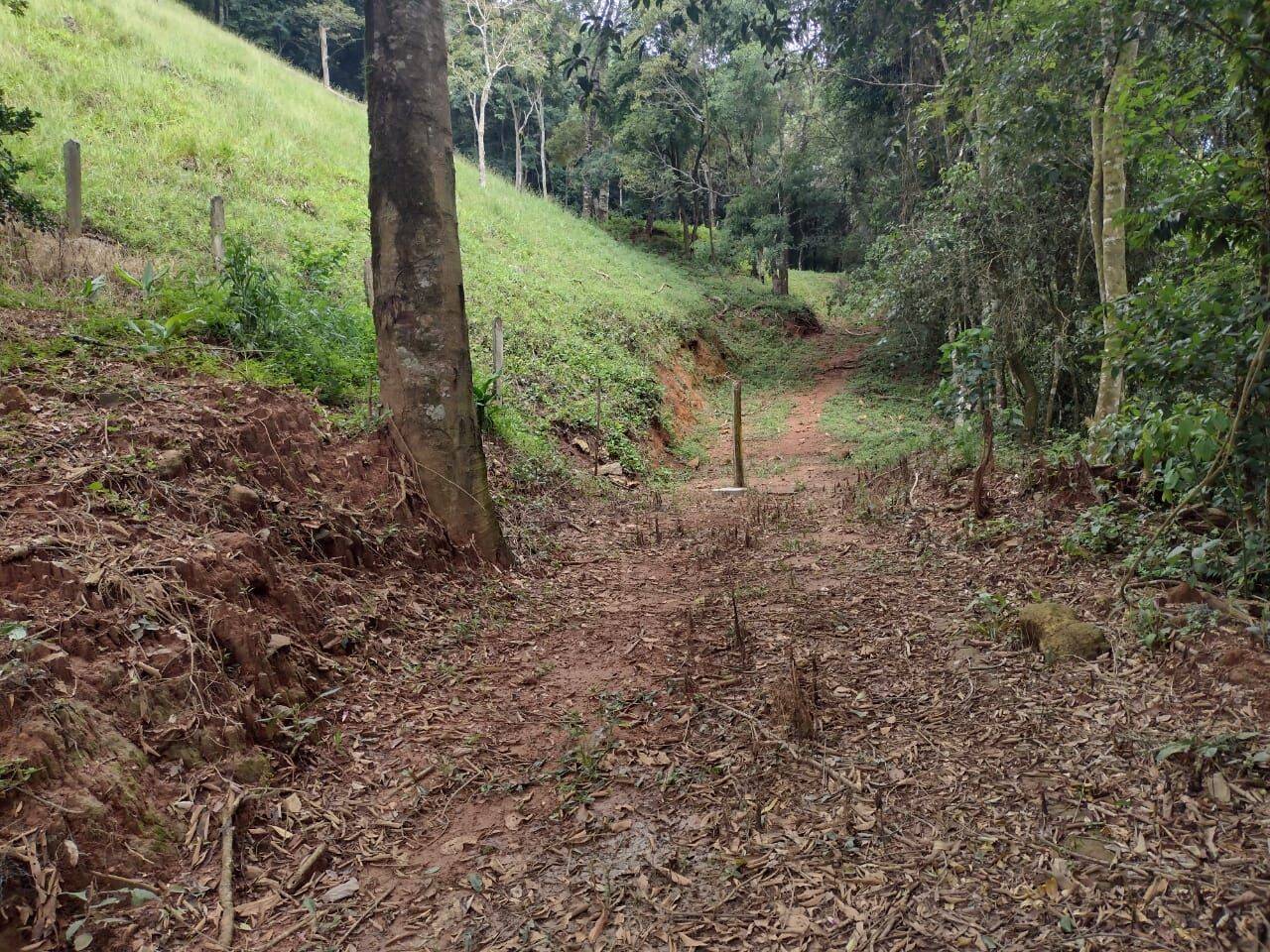 Chácara, 3 quartos, 3 hectares - Foto 47