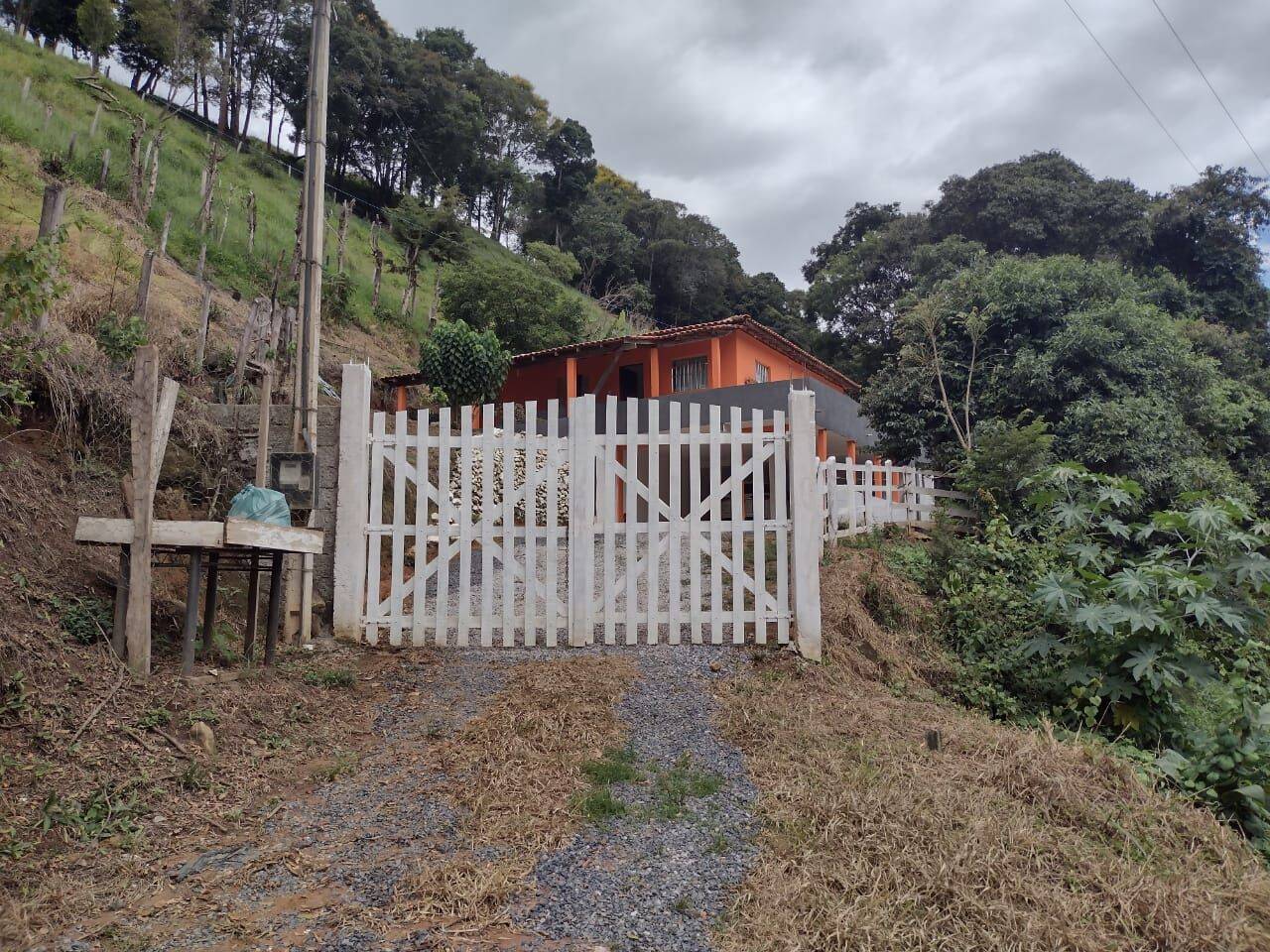 Chácara, 3 quartos, 3 hectares - Foto 49