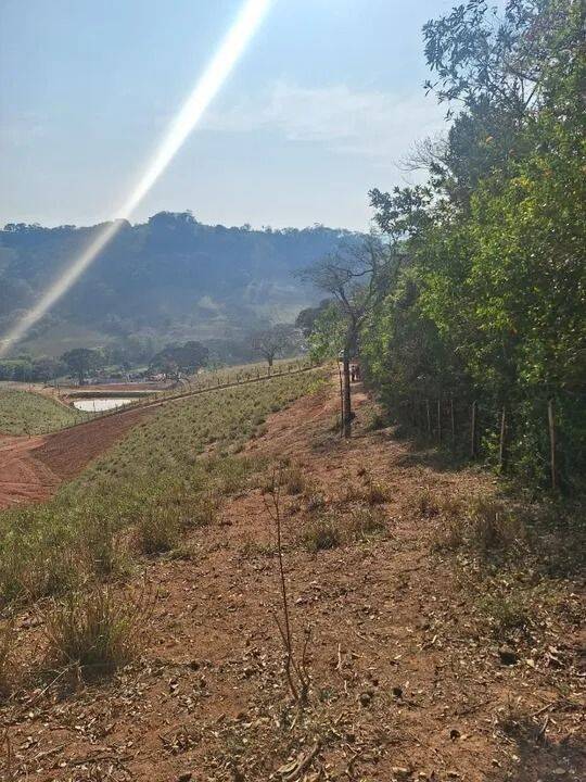 Prédio Inteiro - Foto 5