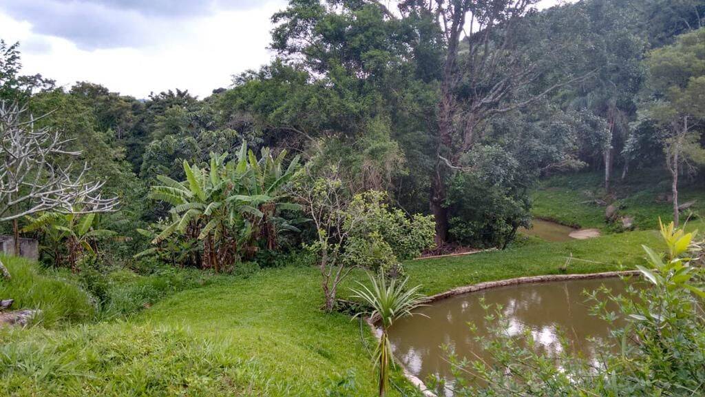 Sítio, 3 quartos, 3 hectares - Foto 9