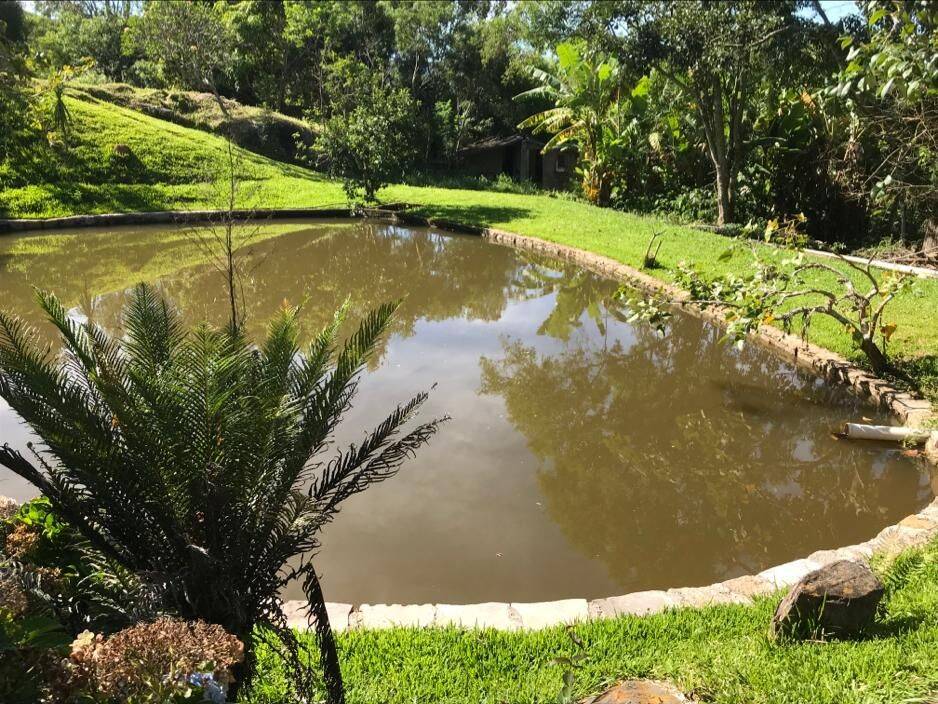 Sítio, 3 quartos, 3 hectares - Foto 17