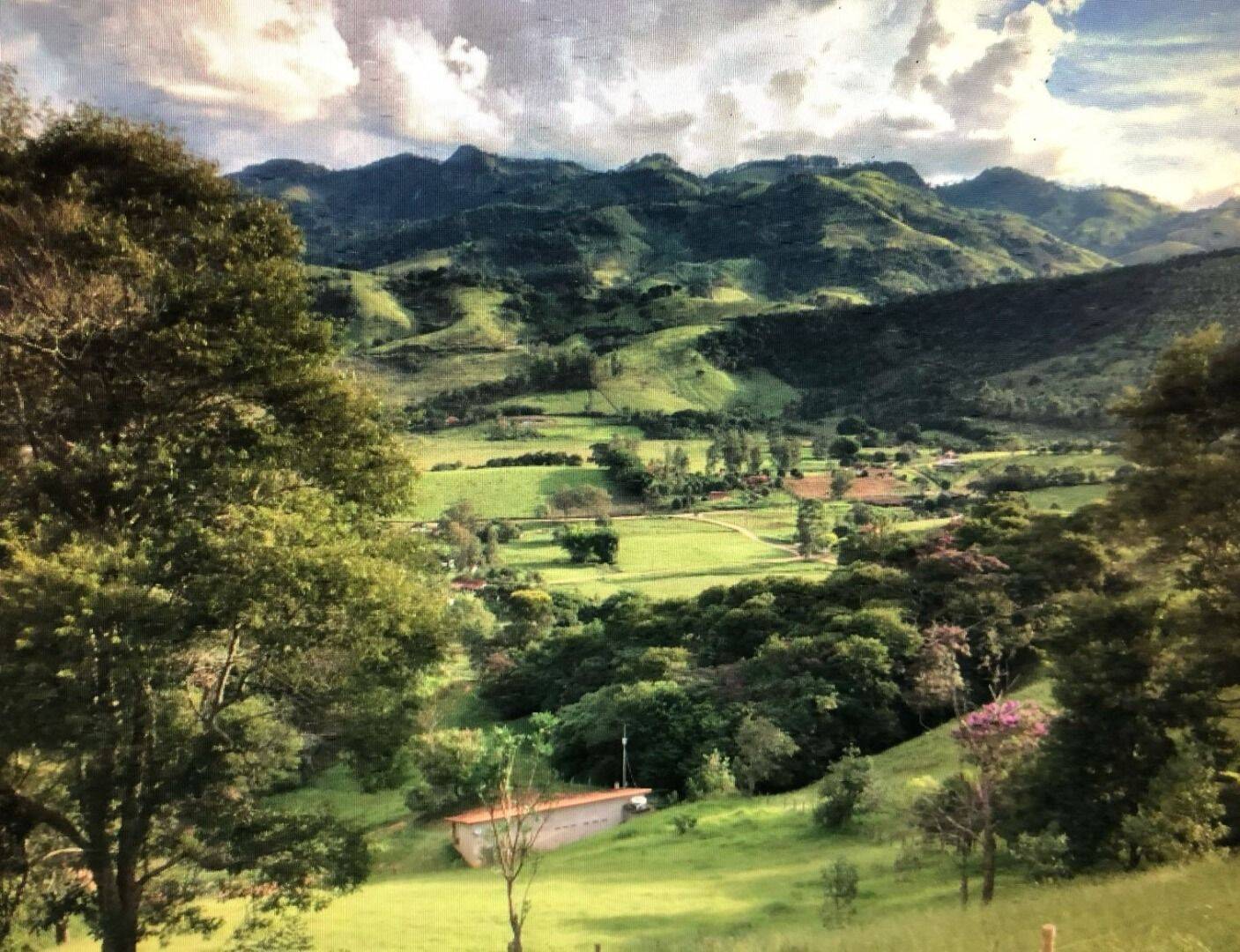 Chácara, 2 quartos, 6000 m² - Foto 3