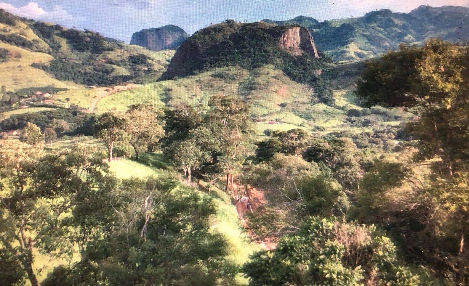 Chácara, 2 quartos, 6000 m² - Foto 4