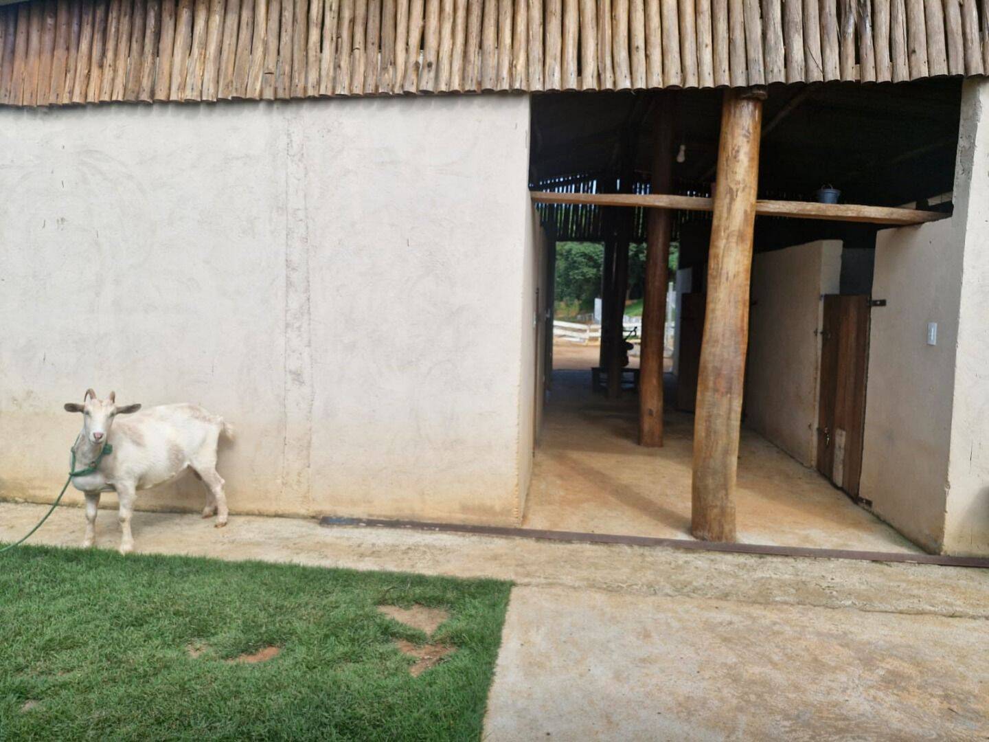 Sítio, 2 quartos, 7 hectares - Foto 12