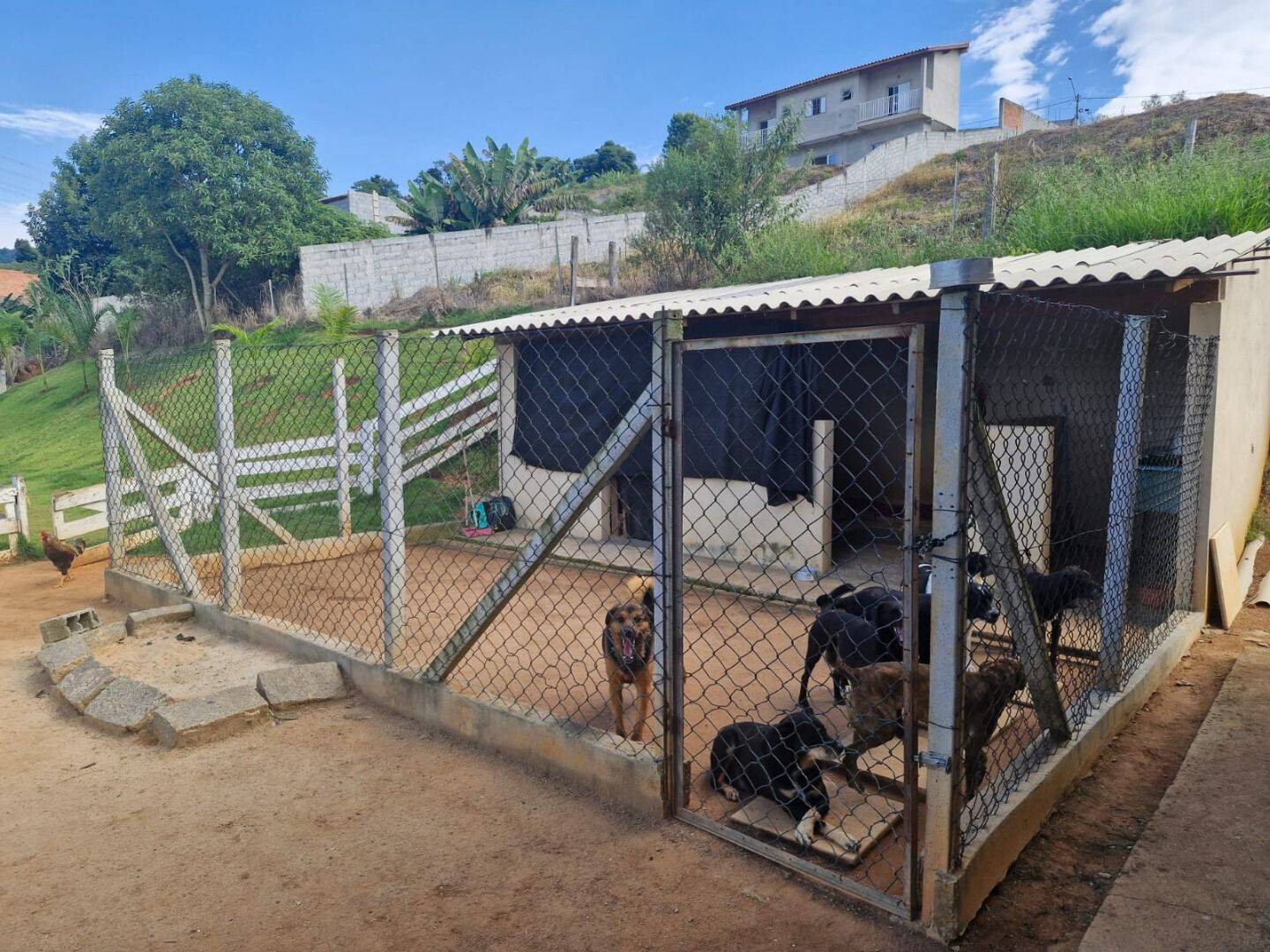 Sítio, 2 quartos, 7 hectares - Foto 17