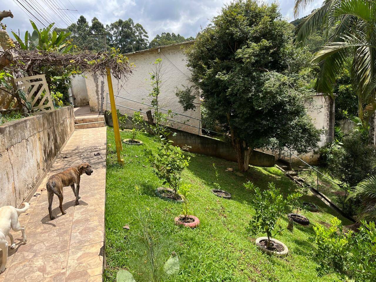 Chácara, 4 quartos, 2131 m² - Foto 18