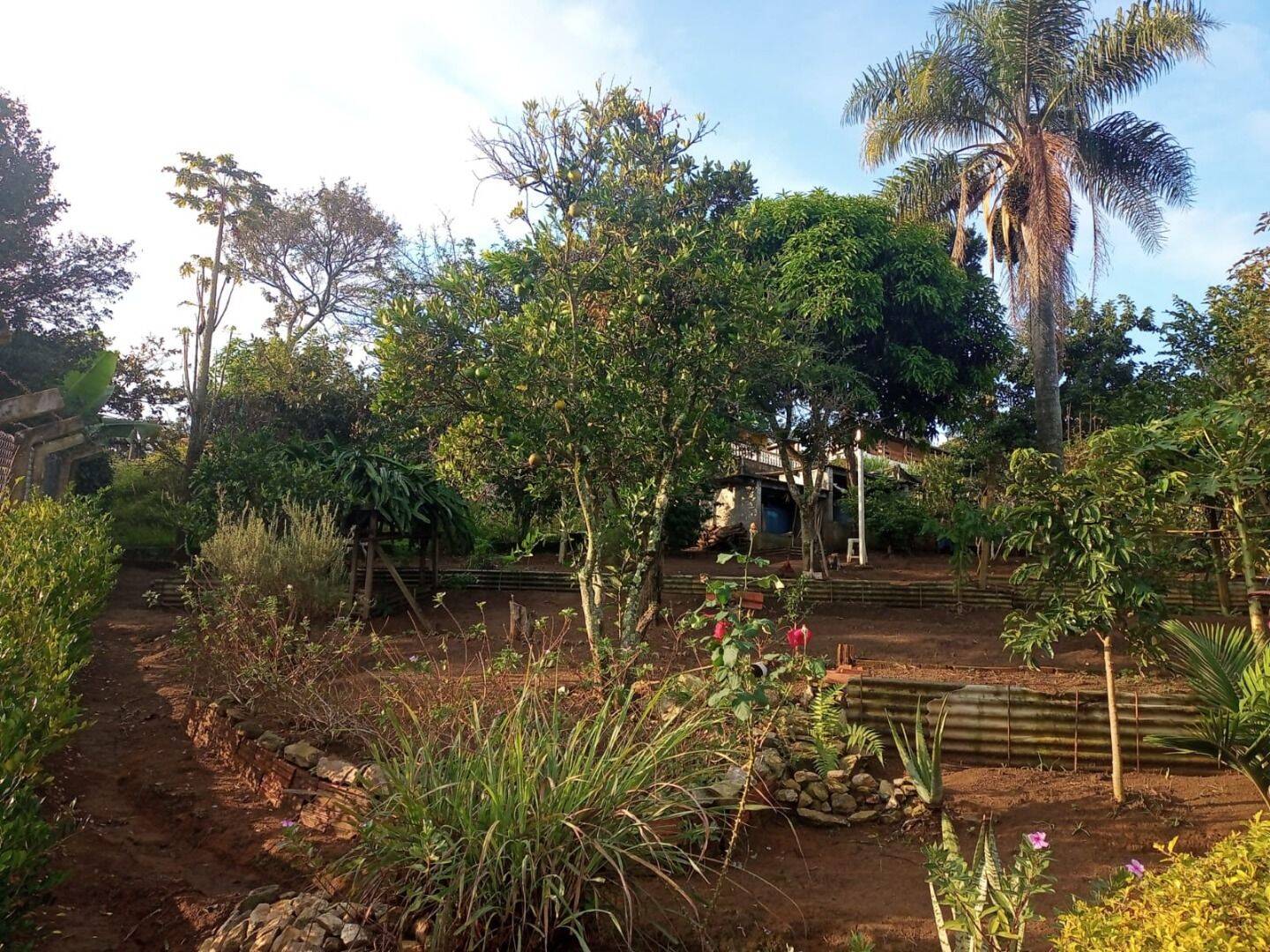Chácara, 2 quartos, 1000 m² - Foto 7