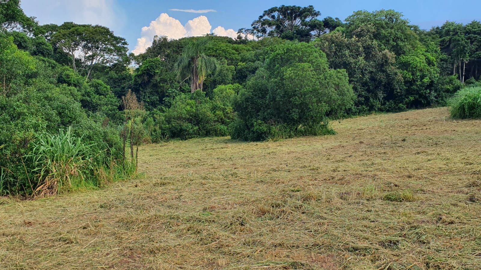 Prédio Inteiro - Foto 1