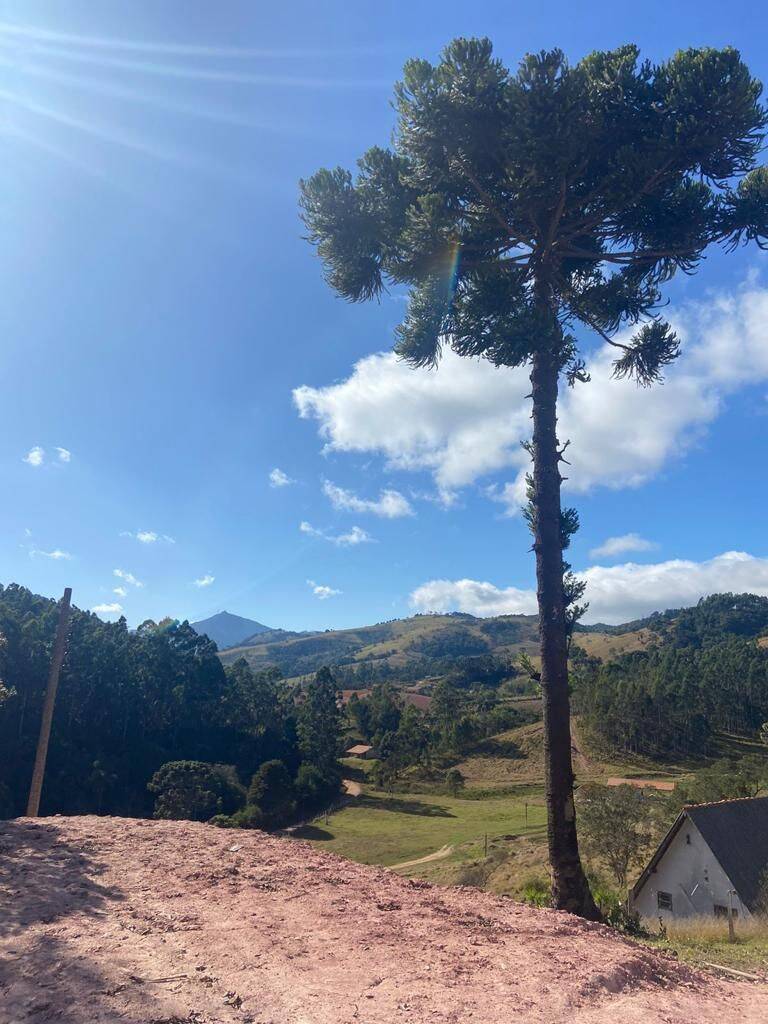 Terreno, 2958 m² - Foto 3