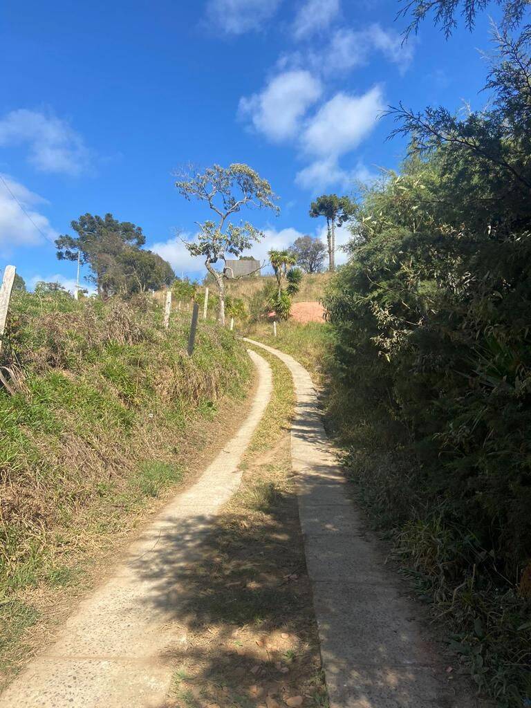 Terreno, 2958 m² - Foto 5