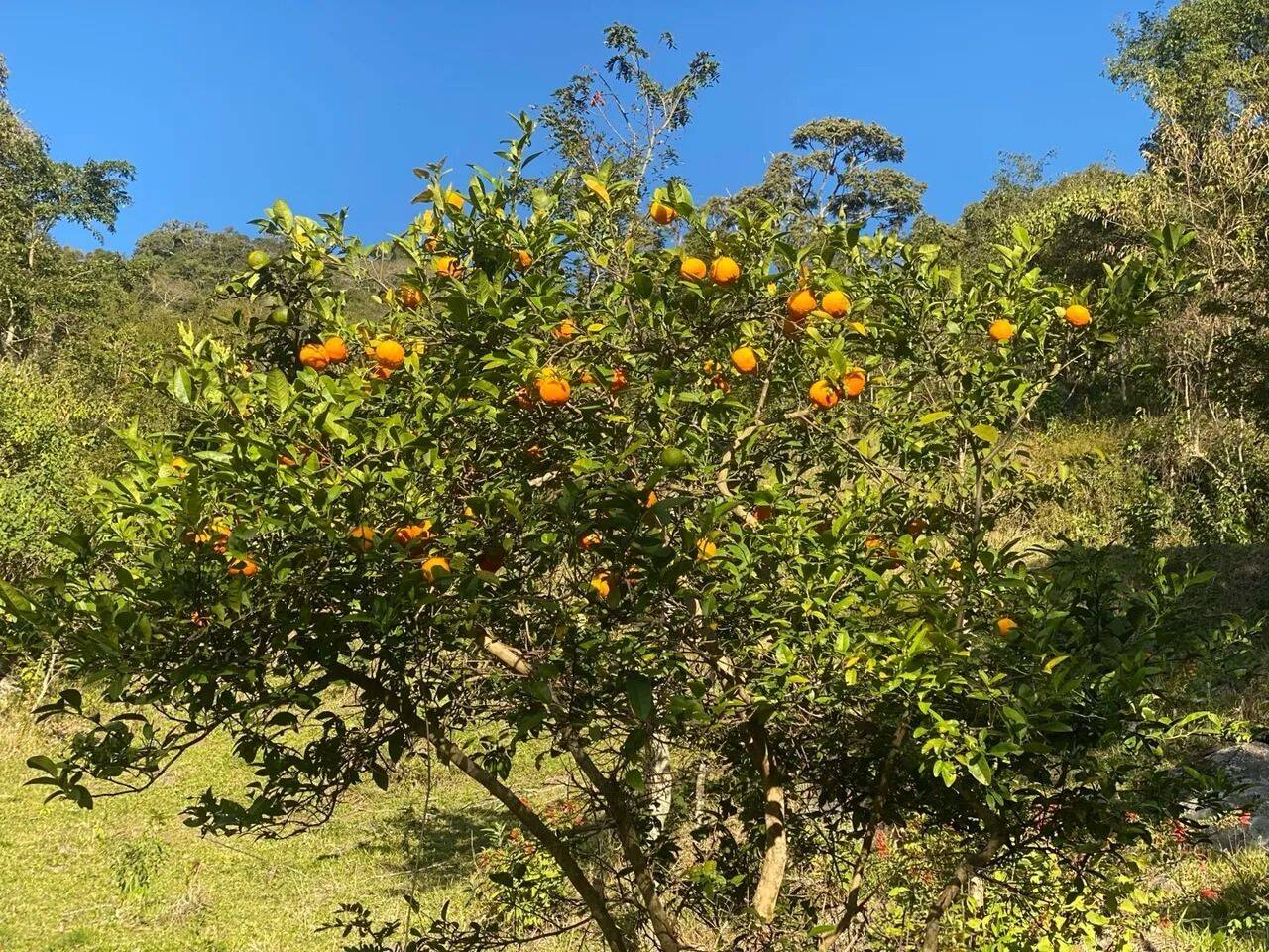 Prédio Inteiro - Foto 8