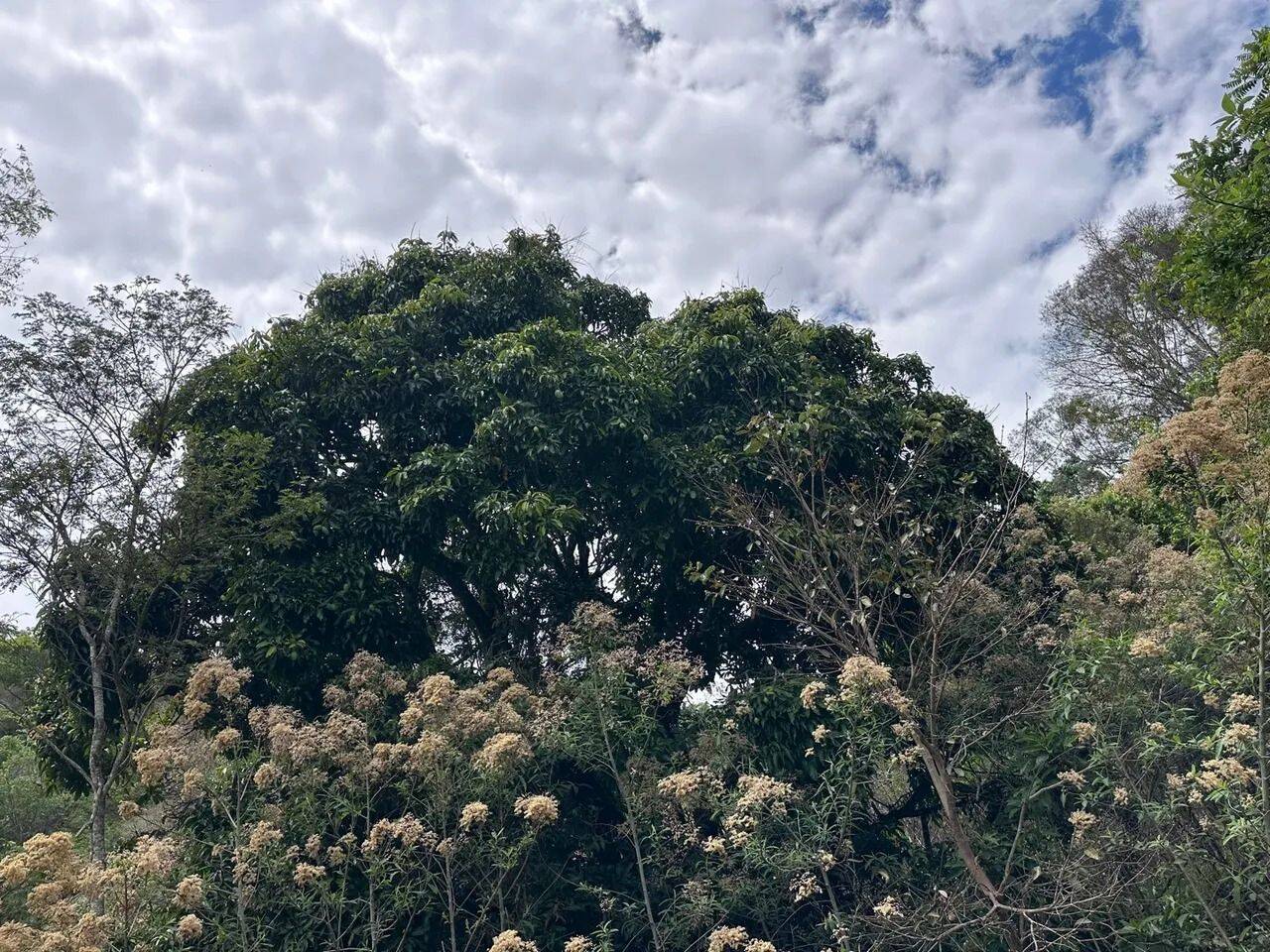 Prédio Inteiro - Foto 15