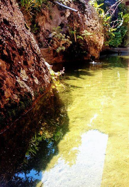 Sítio, 8 quartos, 2 hectares - Foto 9