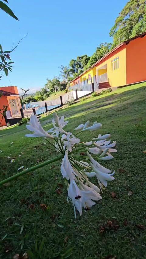 Prédio Inteiro, 400 m² - Foto 14