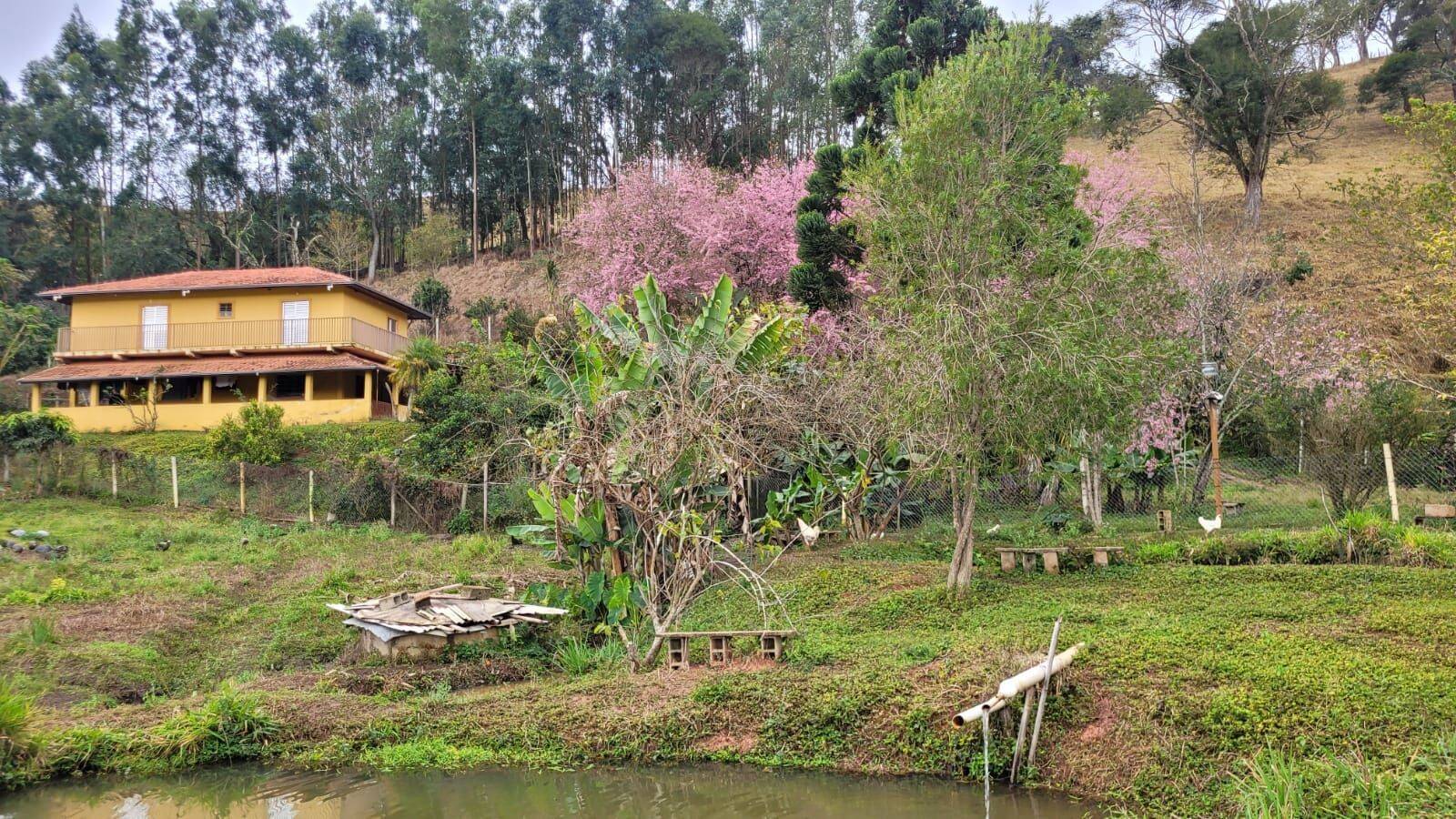 Chácara, 6 quartos, 7200 m² - Foto 1