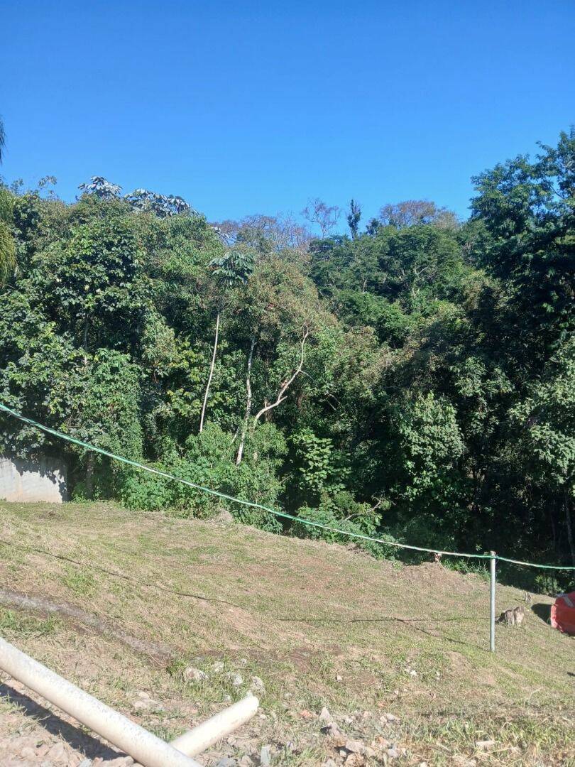 Chácara, 3 quartos, 2450 m² - Foto 25