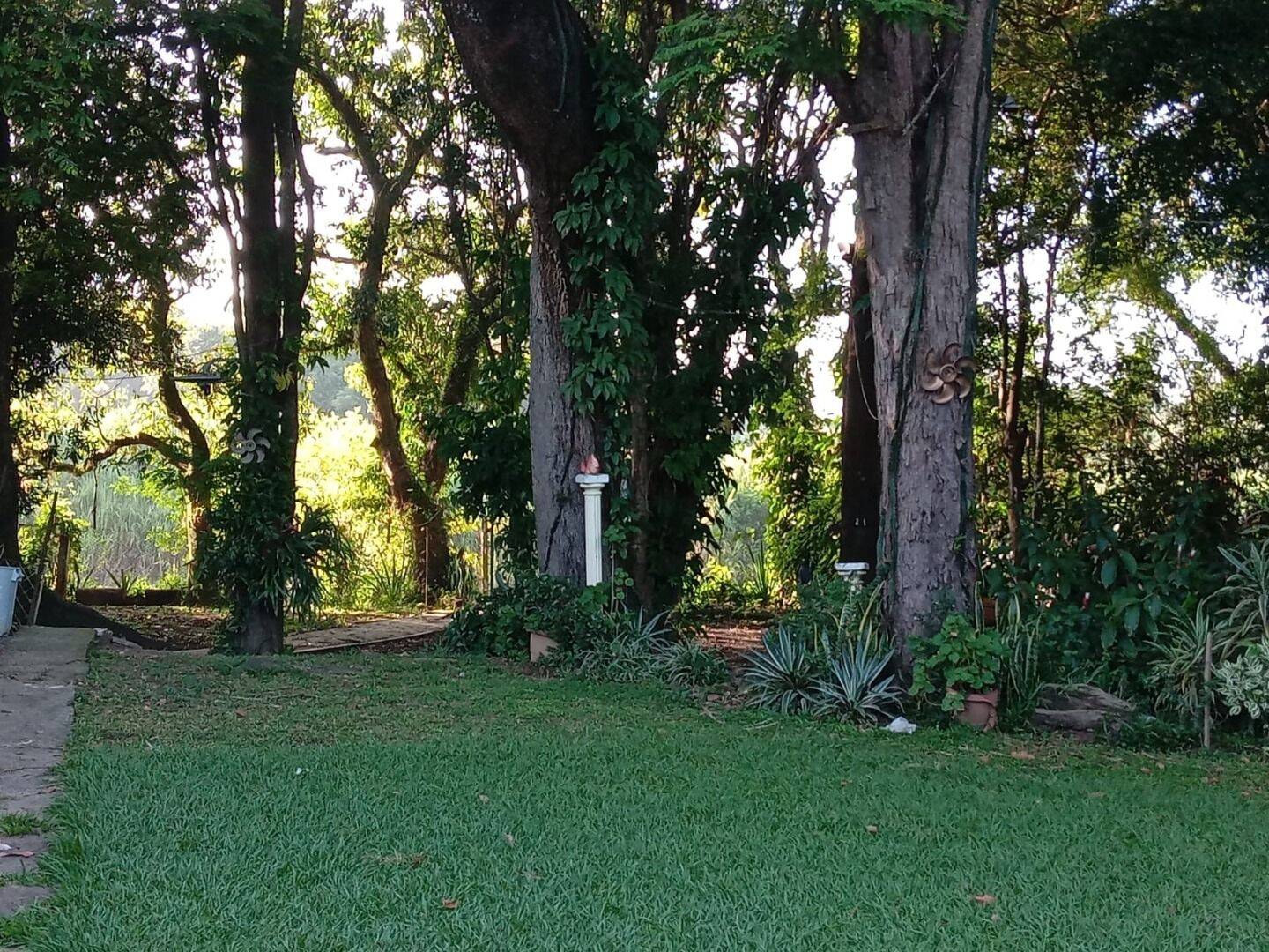 Chácara, 5 quartos, 2003 m² - Foto 17