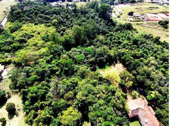 Prédio Inteiro - Foto 20