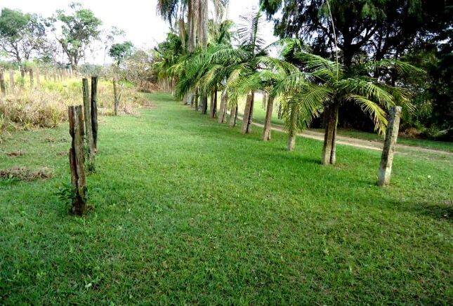 Prédio Inteiro - Foto 32