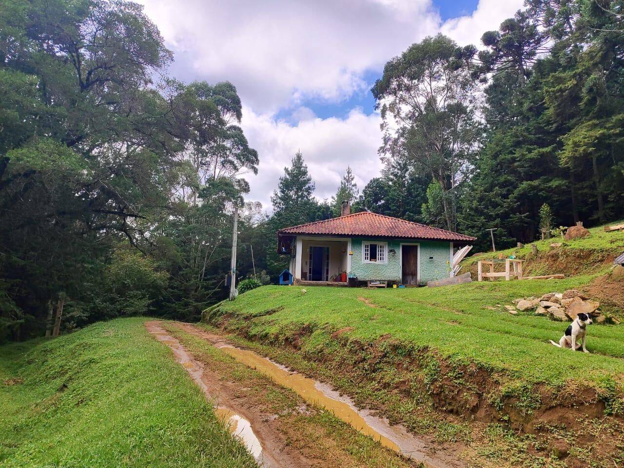 Terreno, 6 hectares - Foto 1