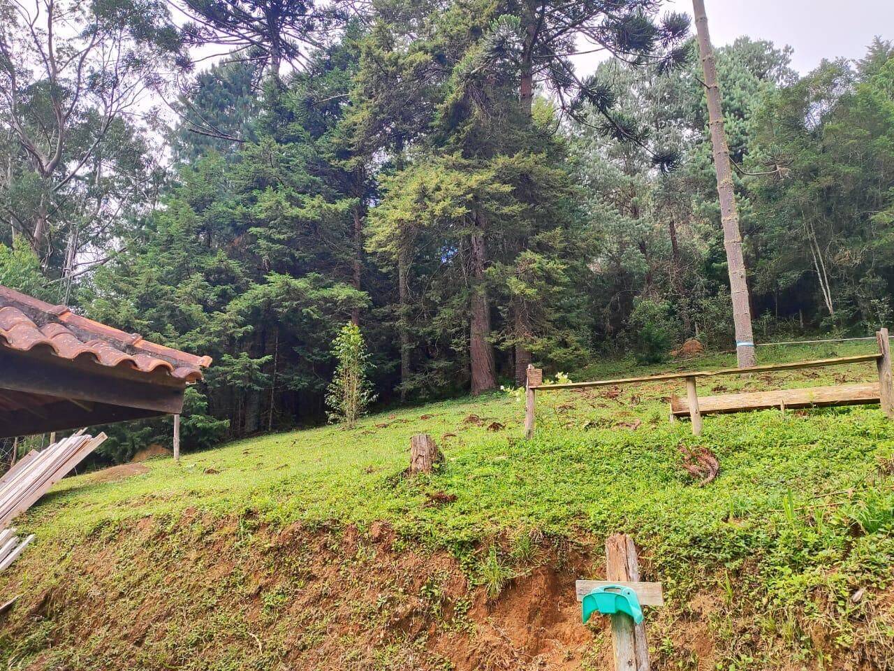 Terreno, 6 hectares - Foto 2