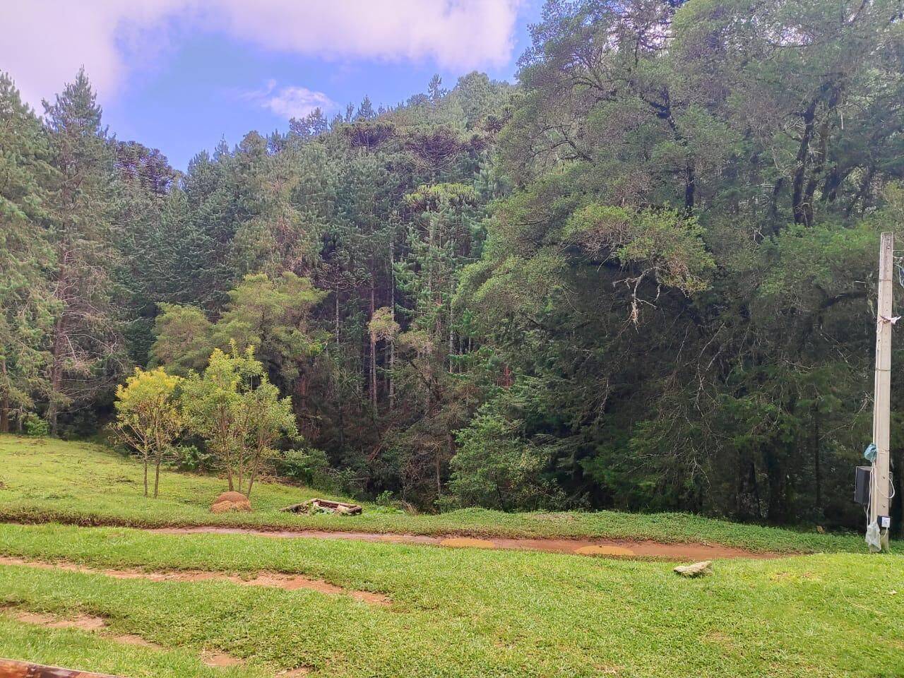 Terreno, 6 hectares - Foto 4