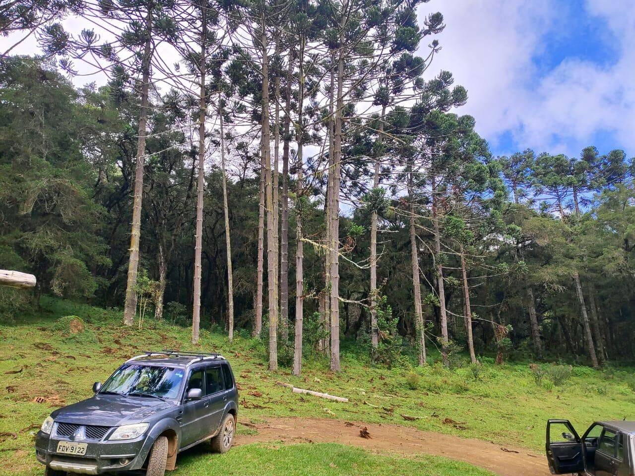Terreno, 6 hectares - Foto 9