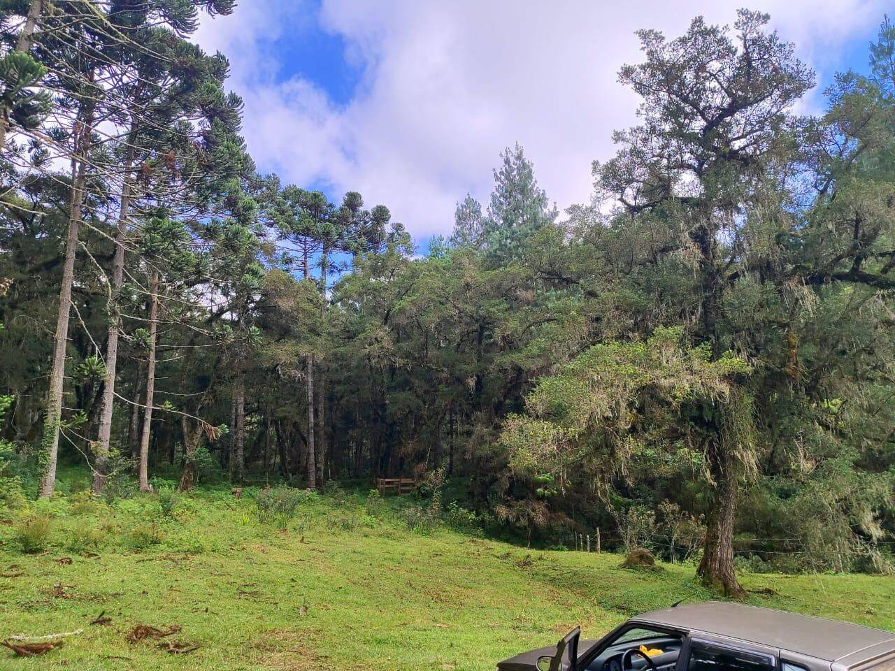 Terreno, 6 hectares - Foto 14