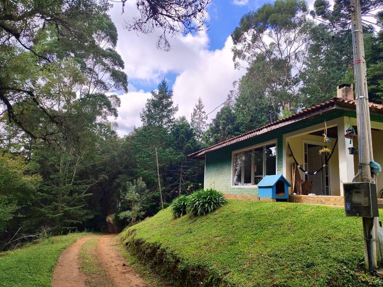 Terreno, 6 hectares - Foto 15