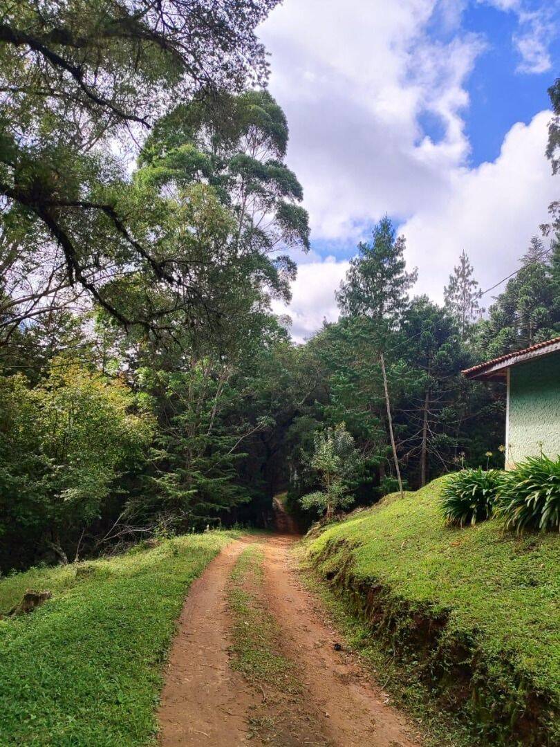 Terreno, 6 hectares - Foto 16