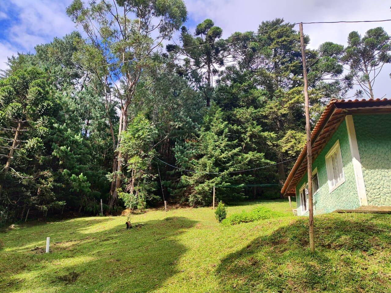 Terreno, 6 hectares - Foto 18
