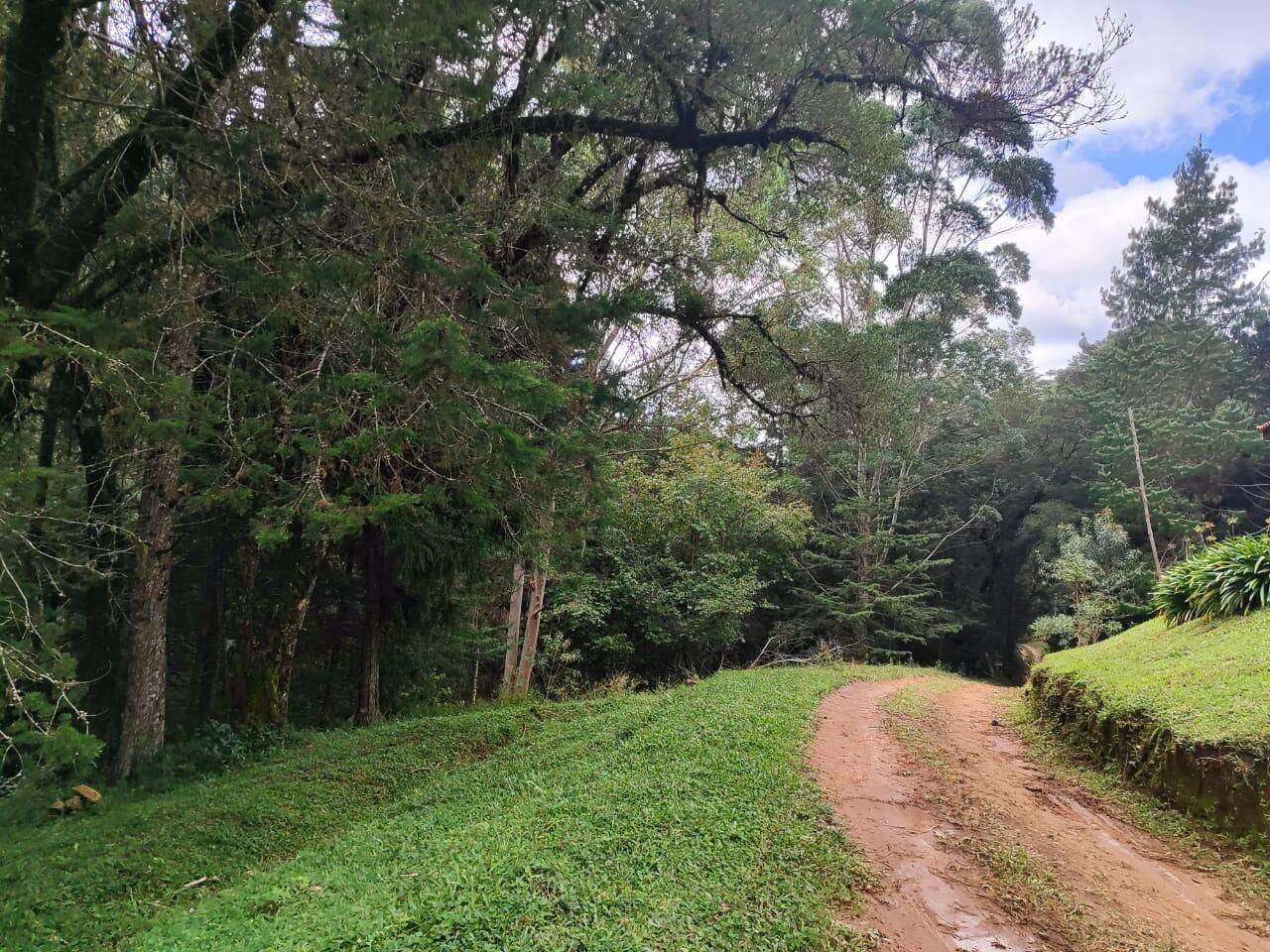 Terreno, 6 hectares - Foto 19