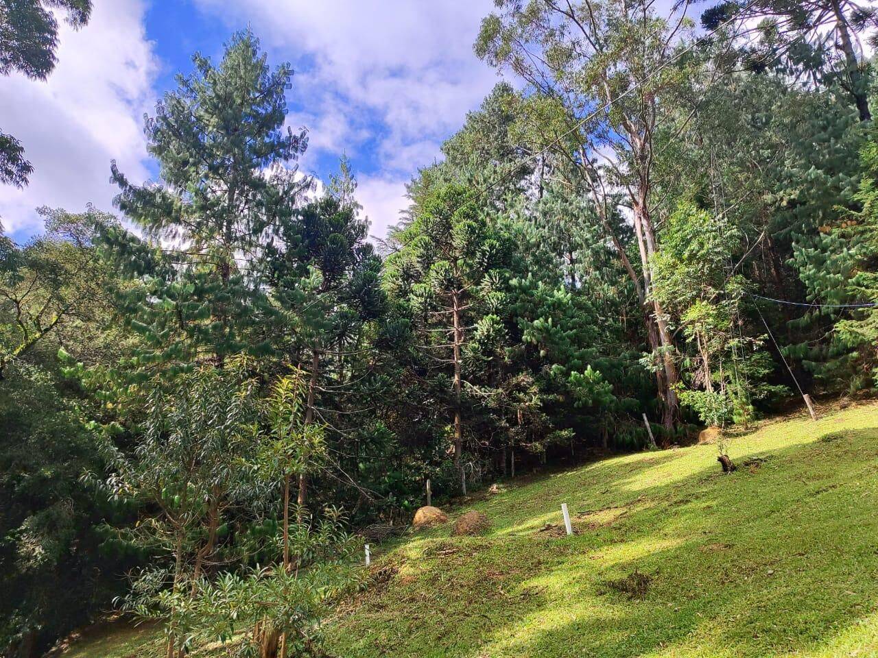 Terreno, 6 hectares - Foto 24