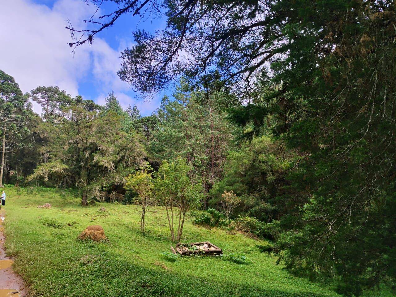 Terreno, 6 hectares - Foto 29
