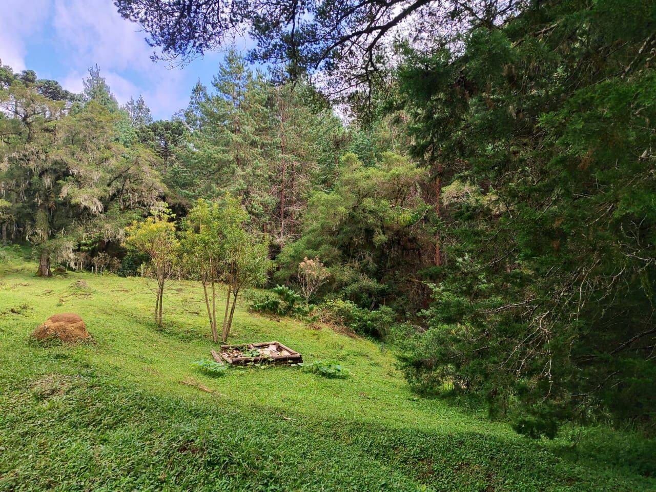 Terreno, 6 hectares - Foto 30