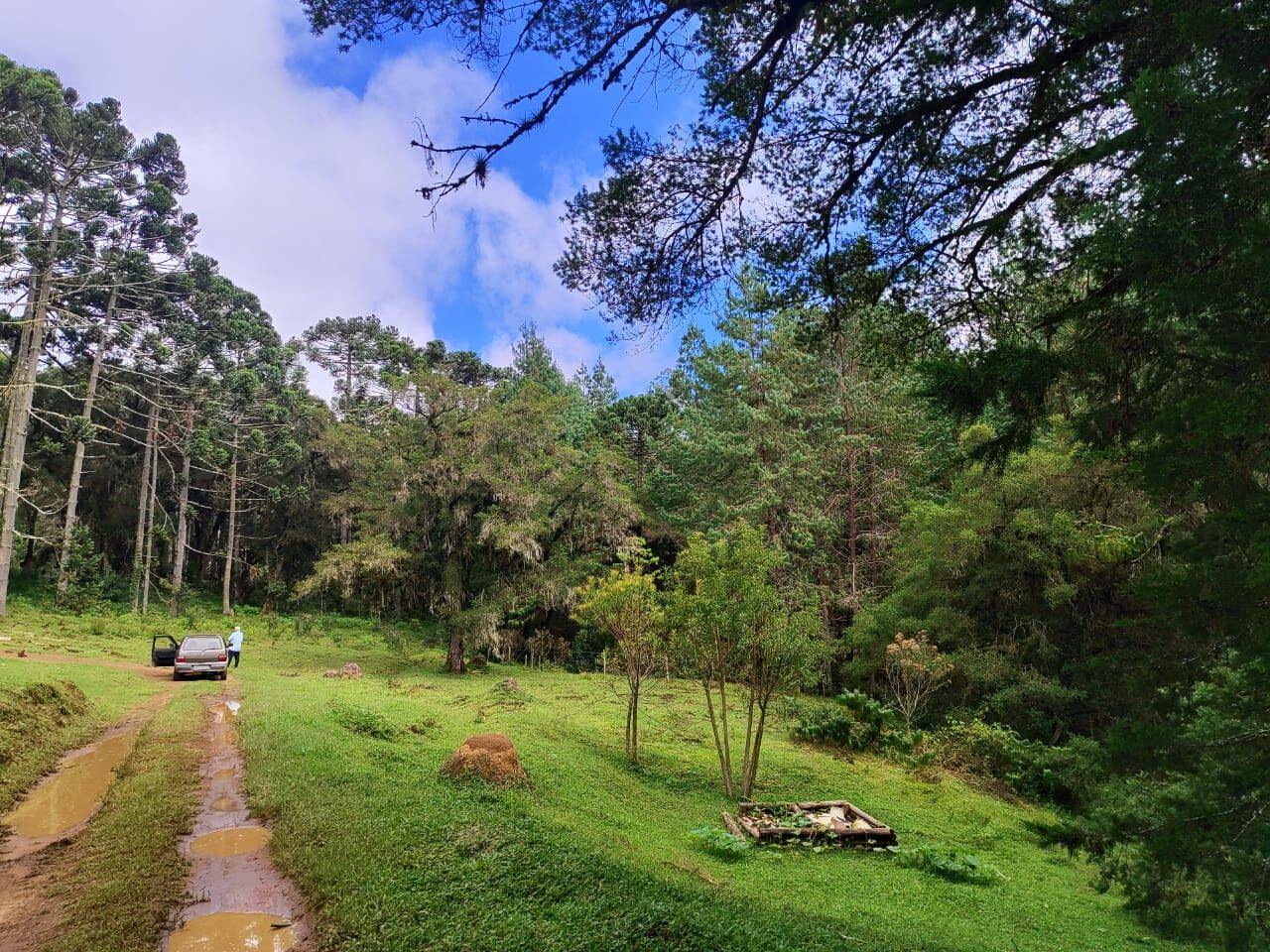 Terreno, 6 hectares - Foto 31