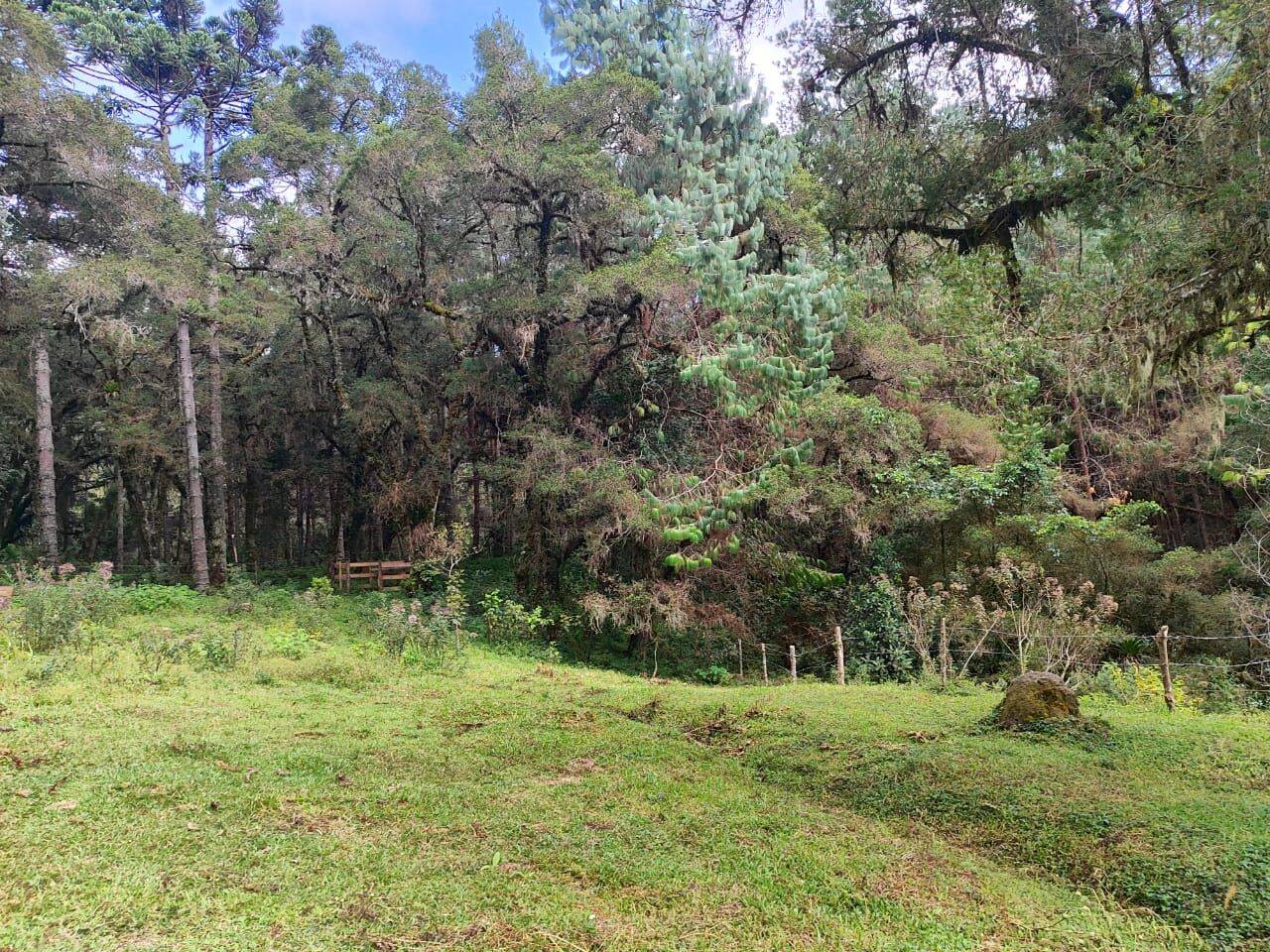 Terreno, 6 hectares - Foto 34
