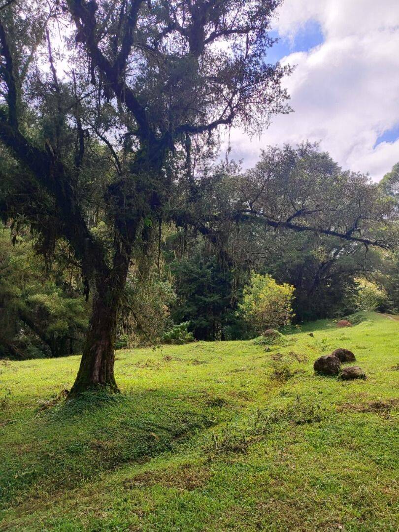 Terreno, 6 hectares - Foto 38