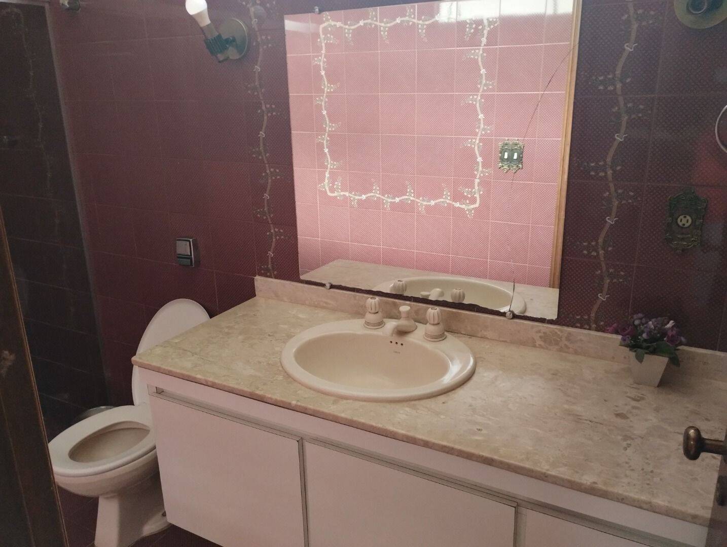Chácara, 4 quartos, 4800 m² - Foto 29