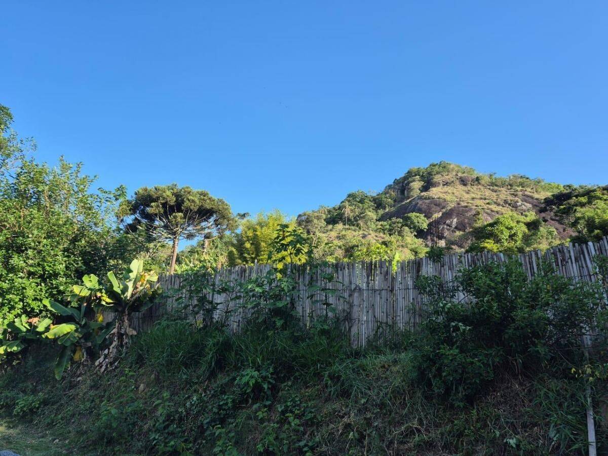 Chácara, 2 quartos, 1100 m² - Foto 7