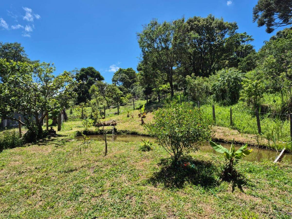 Chácara, 2 quartos, 1100 m² - Foto 29