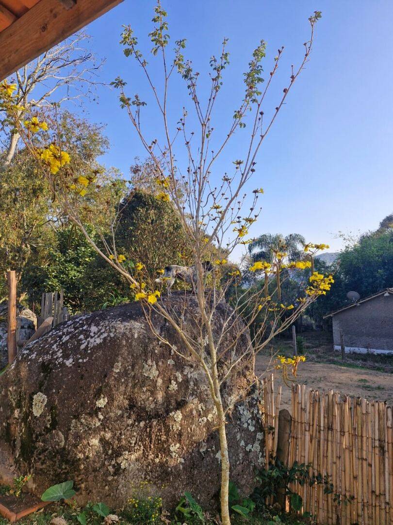 Chácara, 2 quartos, 1100 m² - Foto 34